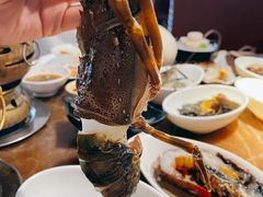 小青龙-舒友海鲜姿造(白鹭洲店)