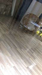 -星豆豆儿童摄影(南郊太白南路店)