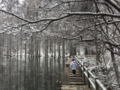 -波尔登森林公园
