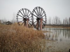 -泗洪洪泽湖湿地景区