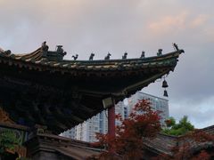 -真庆观