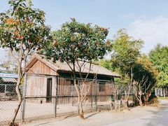 -上方山森林动物世界