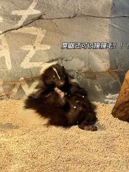 -Zoolung Zoolung动物主题公园(海信广场店)