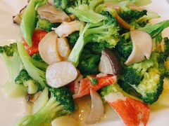 双鲜西兰花-双井轩(双井店)