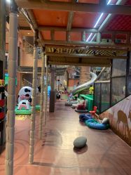 -卡通尼·Safari非洲探索乐园·生日会(金桥国际商业广场店)