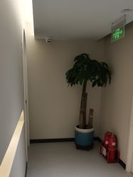 -柯莲娜医学美容