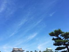 -名古屋城