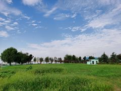 -郑东新区龙湖公共艺术中心