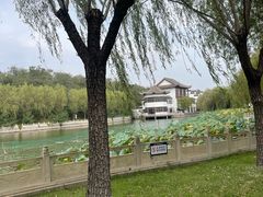 -南戴河国际娱乐中心