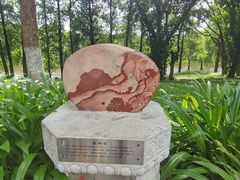 -东莞植物园