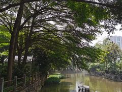 -晓港公园