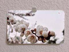 -晋商博物院