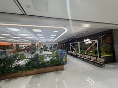 -国芳中心