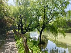 -贵阳市花溪国家城市湿地公园