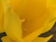 -廊坊文化艺术中心