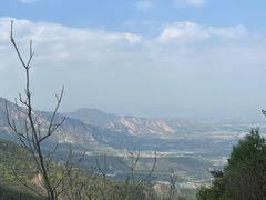 -北京鹫峰国家森林公园