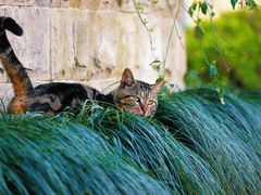 -苏州河梦清园环保主题公园