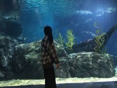 -暹罗海洋世界