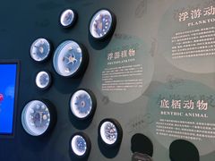 -中国湿地博物馆