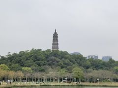 -顺峰山公园