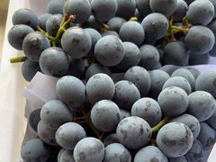 -马陆小张葡萄园农家乐