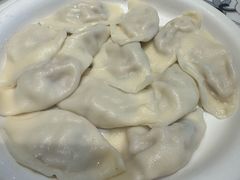 -东方饺子王臻味餐厅(新嘉坡城店)