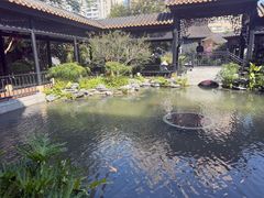 -荔湾湖公园