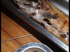 带鱼-阿记烧烤(大兴新区店)