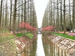 -东平国家森林公园