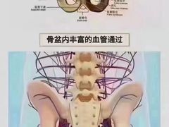 -裕和堂中医推拿艾灸(太古汇臻品店)