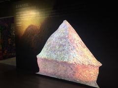 -印象莫奈时光映迹艺术展