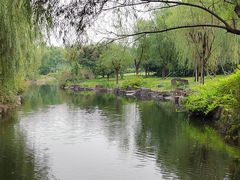-上海滨江森林公园