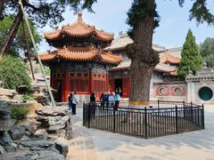 -北京艺术博物馆(万寿寺)