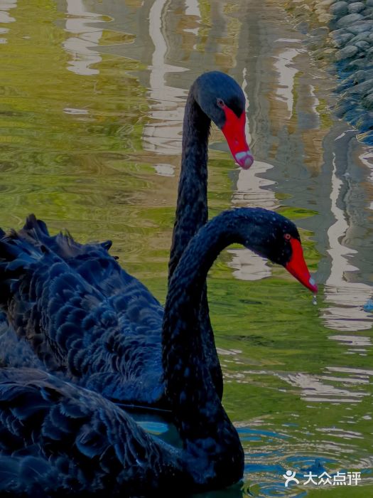 蒙山大佛景区图片