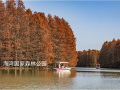 -上海海湾国家森林公园