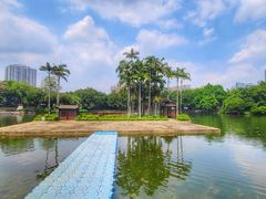 -荔湾湖公园