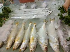 -宁波国际会展中心
