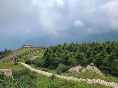 -白草畔自然风景区