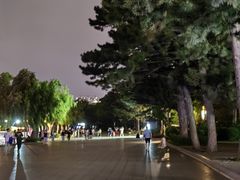 -长春市南湖公园