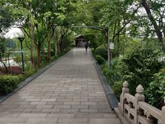 -长广溪湿地公园
