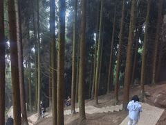 -太阳湾风景区