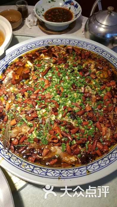 新概念来凤鱼图片 - 第2张