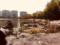 -南翔镇银翔湖公园