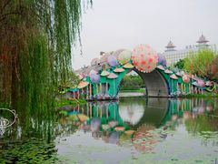 -映月湖公园