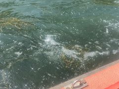 -皇家御河游(紫御湾码头)