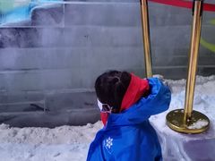 -宁波冰雪大世界(北仑区)