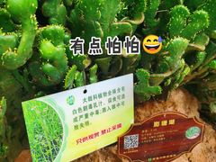 -南通洲际绿博园