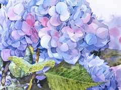 -八哥美术·成人美术画室(总校区)