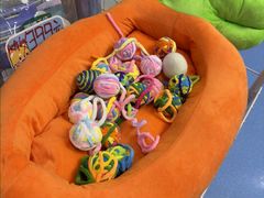 -天使宠物医院·犬猫分诊(彩虹店)