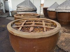 -苏州市吴中区光福窑上花果蜜饯厂